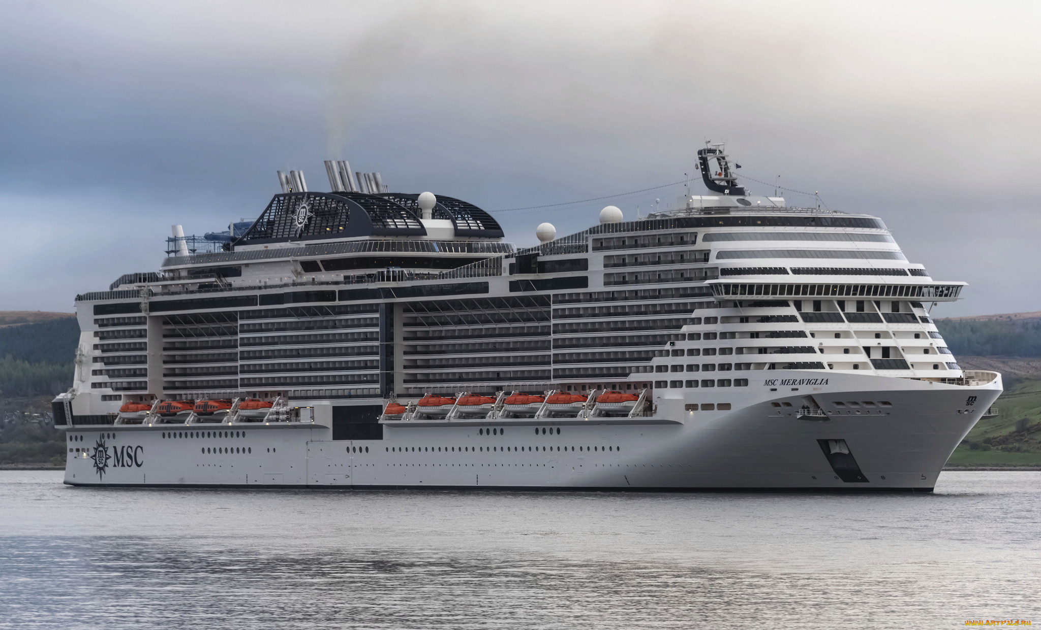 msc meraviglia, , , , 